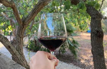 Agriturismo Salento Pietralata - Foto 35