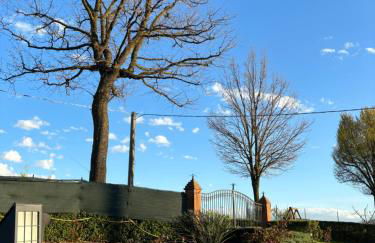 Casa del vigneto - Photo 5