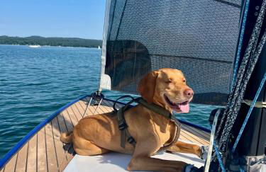 Teddis Traubing - Foto 19