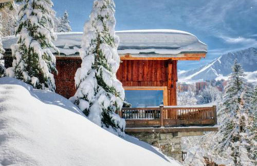 Chalet Dakota, Pied des pistes, 15 pers, La Plagne - Foto 3