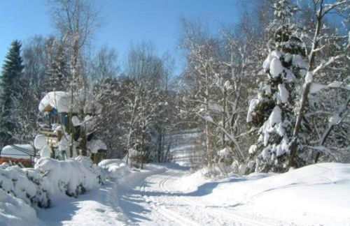 Ferienhaus in Konzell in Gartenn he - Foto 36