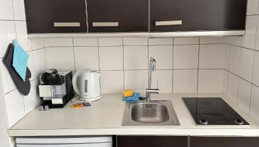 Schönste Lage an der Donau 1 - Foto 4