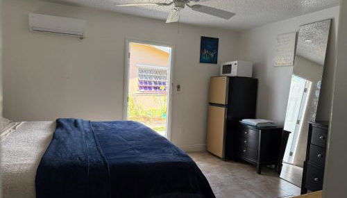 My Garden in Miami Florida - Foto 5