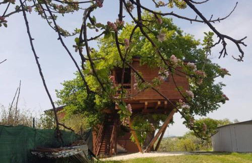 Casa sull'Albero Treehouse Costa dei Trabocchi - Foto 9