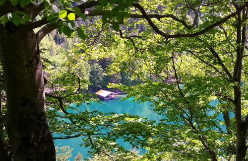 Haus Bullachberg - Foto 29