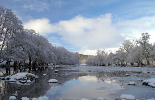 Rosemount Bothy - Highland Cottage - Foto 77