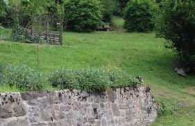 Alloggio da Massimo - Photo 16