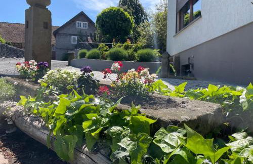 Ferienwohnung Seeleshof - Foto 29