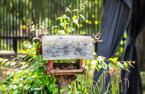 Forest Hill Domki - Międzyzdroje -KLIMATYZACJA - Foto 65