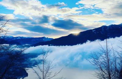 Green Life - Photo 40