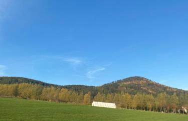 Bryziówka - Foto 43