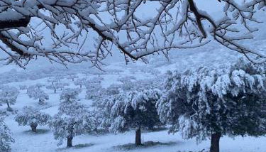 Cheerful 3 bedroom cottage with indoor fireplace - Foto 4