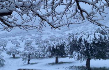 Cheerful 3 bedroom cottage with indoor fireplace - Foto 4