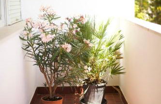 Apartment Nikolina - Foto 6