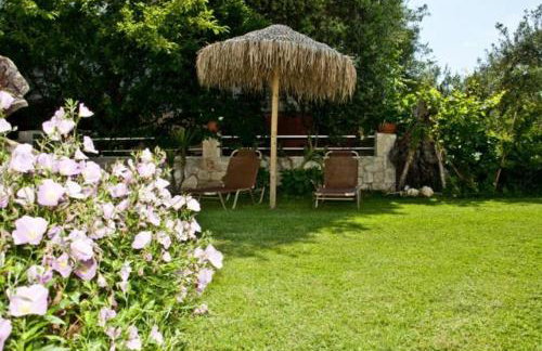 Allea Hotel and Apartments - Foto 24