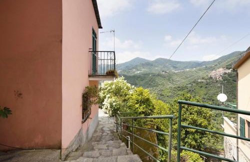 Green Cactus House - Foto 24