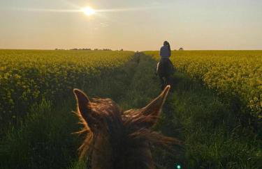 Polana Gorska Mirsk - Photo 23