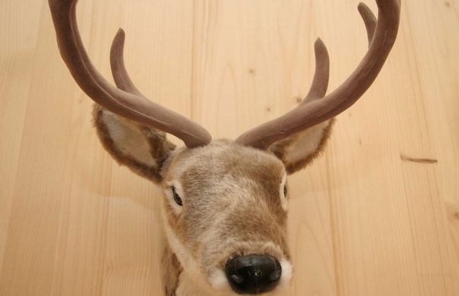 Luxury Chalet in Hohentauern near Ski Area - Foto 23