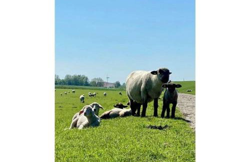 Holiday home with 3 bedrooms - Foto 27