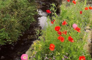Riverside Cottage at Logwood Mill - Foto 82