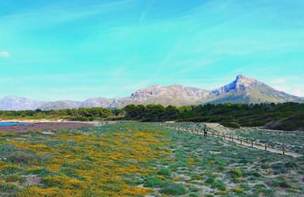 Sestanyol in Urbanitzaci s Estanyol - Foto 60