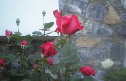 Apollon (ex. Albatros) - Foto 20