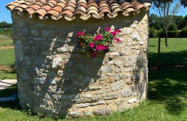 La petite maison dans le Quercy - Foto 15