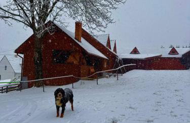 Agro Ranczo - Domek na wynajem - Foto 13