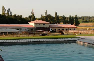 Domaine de la Vidalle - Foto 68