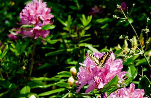 Domaine de Keravel - Foto 62