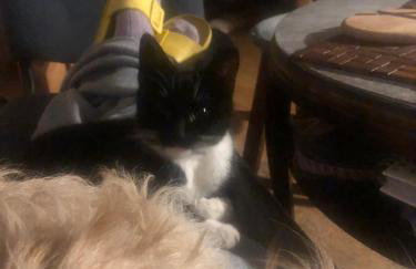 Uroczysko Deresze - Foto 75