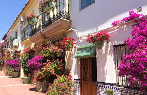 Casa Olina - Photo 41