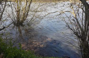 Haus am Wasser - Photo 11