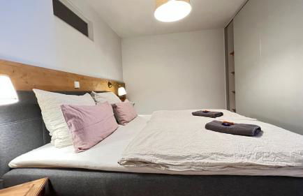 Gemütliches Studio Apartment in Kehl Goldscheuer - 1A Guesthouse - Foto 12