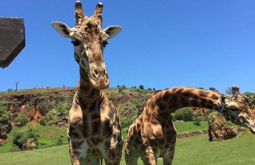 Apartamento Cuchia - Foto 33