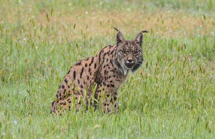 La Casa de Oti playa Mazagón vistas al mar - Foto 31