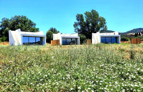 Estrellas de Gredos - Photo 44