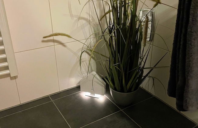 Apartment zur Wiege Anhalts - Photo 11