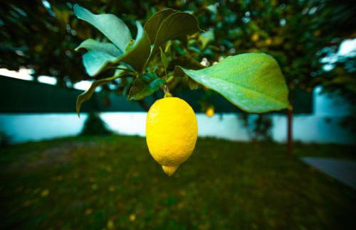 Poolemonhouse - Foto 64