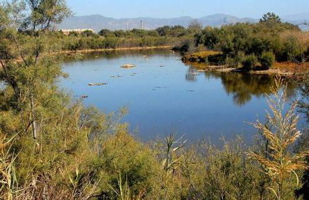 GUADALMARINA - Playa, Naturaleza y Ciudad - Foto 22