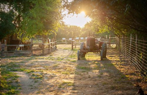 Parc animalier des Clautres - Maison Roulottes Tente - Photo 13