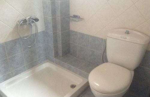 Anthemion - Photo 63