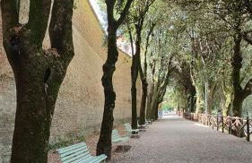 Casa Fiorello - Photo 17