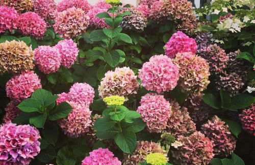 Kerellouan Family house 8 near Beach Cap Frehel - Foto 66