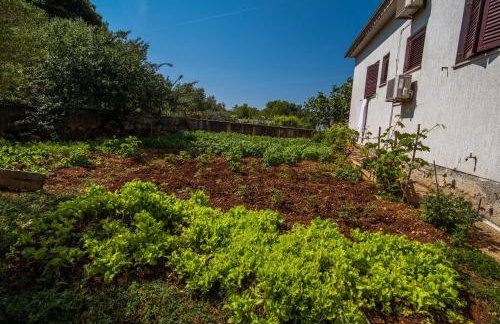 Apartments with a parking space Malinska (Krk) - 13219 - Foto 10