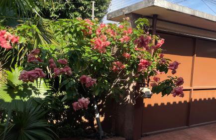 Casa Tropicale House accommodates family and work - Foto 23