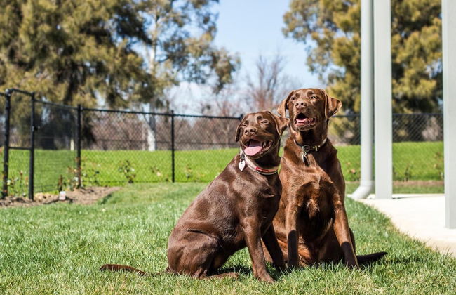 Abode Narrabundah - Foto 31