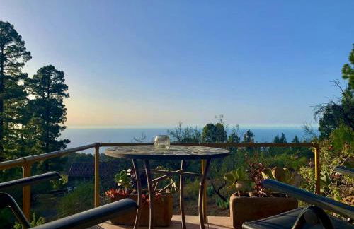 Tiny House Vogelnest - Foto 2