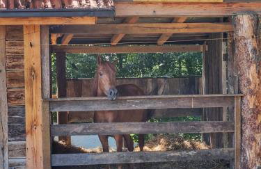 Svetli Raj - Foto 26