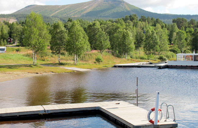 Lofsdalen Fjällbjörken - Photo 12